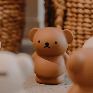 Tirelire Boris l'Ours Chocolat - AP